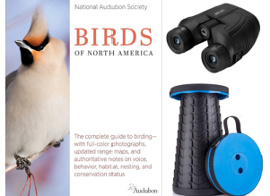 binoculars, stool and book