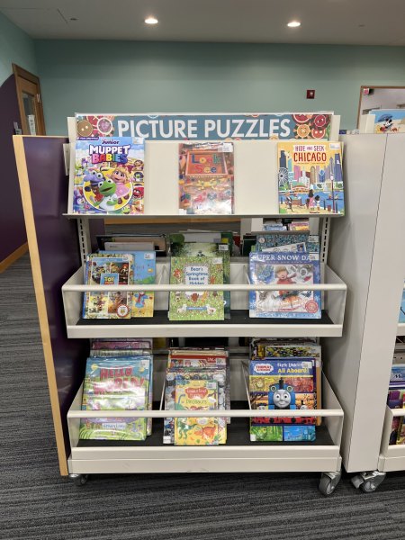 Picture Puzzle Books in Youth Services