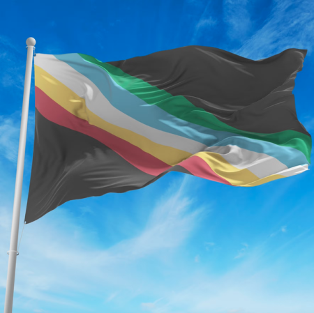 Disability Pride Flag