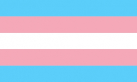 Transgender Flag