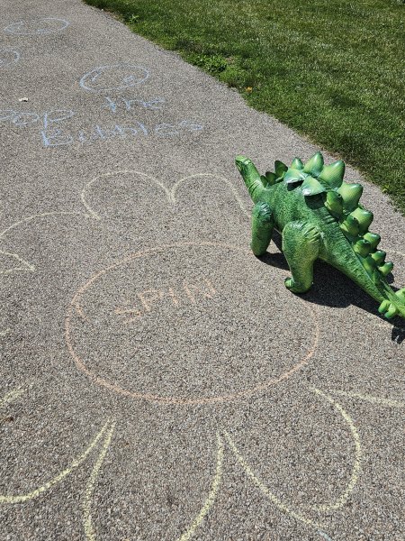 Dino on chalk course