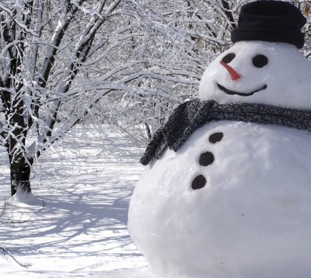 Winter Snowman