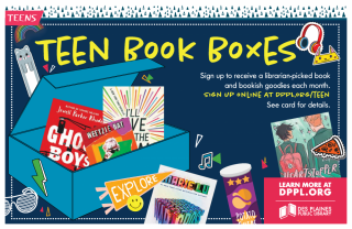 Teen Book Boxes